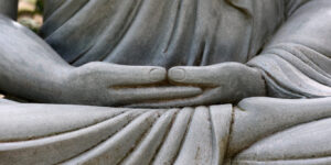 fundamentos da atenção plena